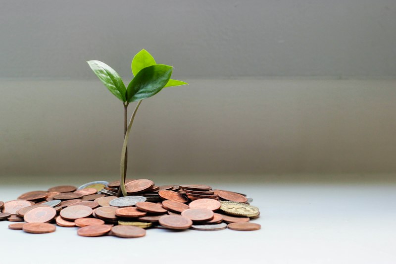 High yield savings